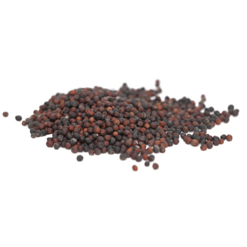 Semínka brokolice microgreens
